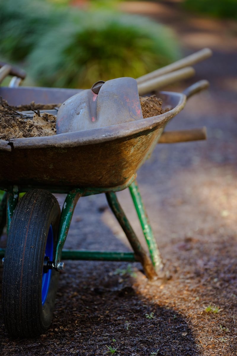 Potting Soil